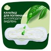 Прокладки Naturella Classic Camomile Night Single с крылышками №7