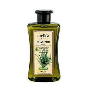 Шампунь Melica Organic Здоровий блиск з протеїнами пшениці та екстрактом алое 300 мл