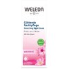 Крем Weleda Трояндовий нічний для обличчя 30 мл